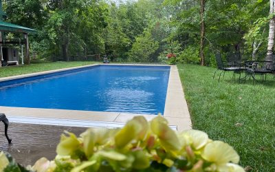 The Ultimate Guide To Pool Cleaning